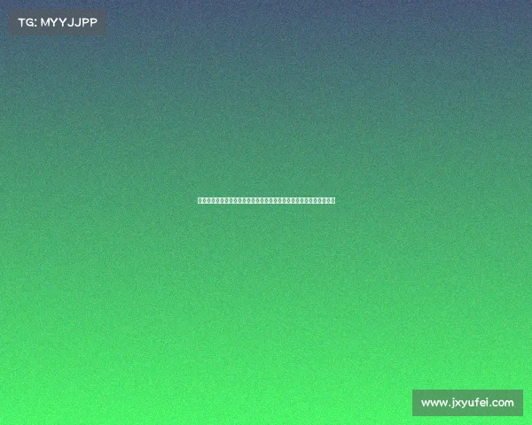 定向赛事策划方案、定向赛事公司品牌导航户外探险共创赛事无限辉煌