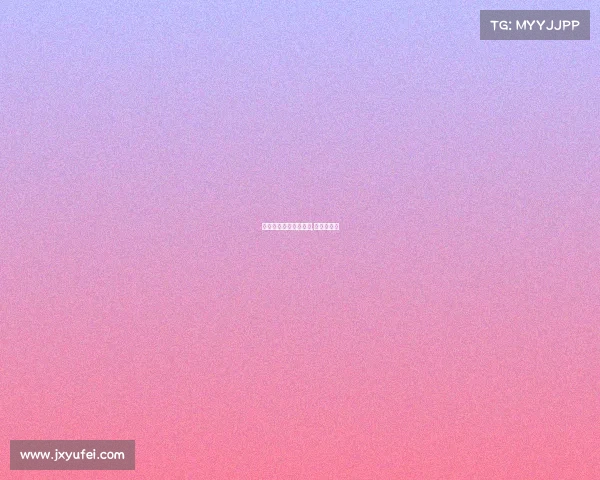 荷兰国际赛事海报大赛,荷兰锦标赛